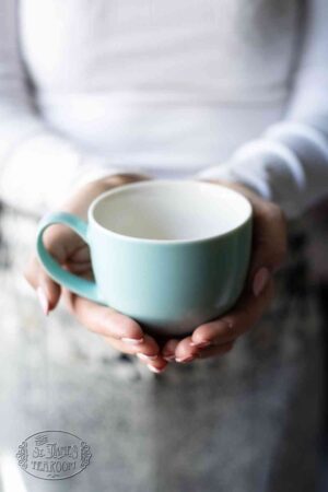 Online Tea Shop Tea Gifts for Tea Lovers Mug Minty Aqua in Hands